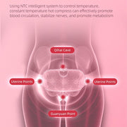 Prisma menstrual Heating Pad